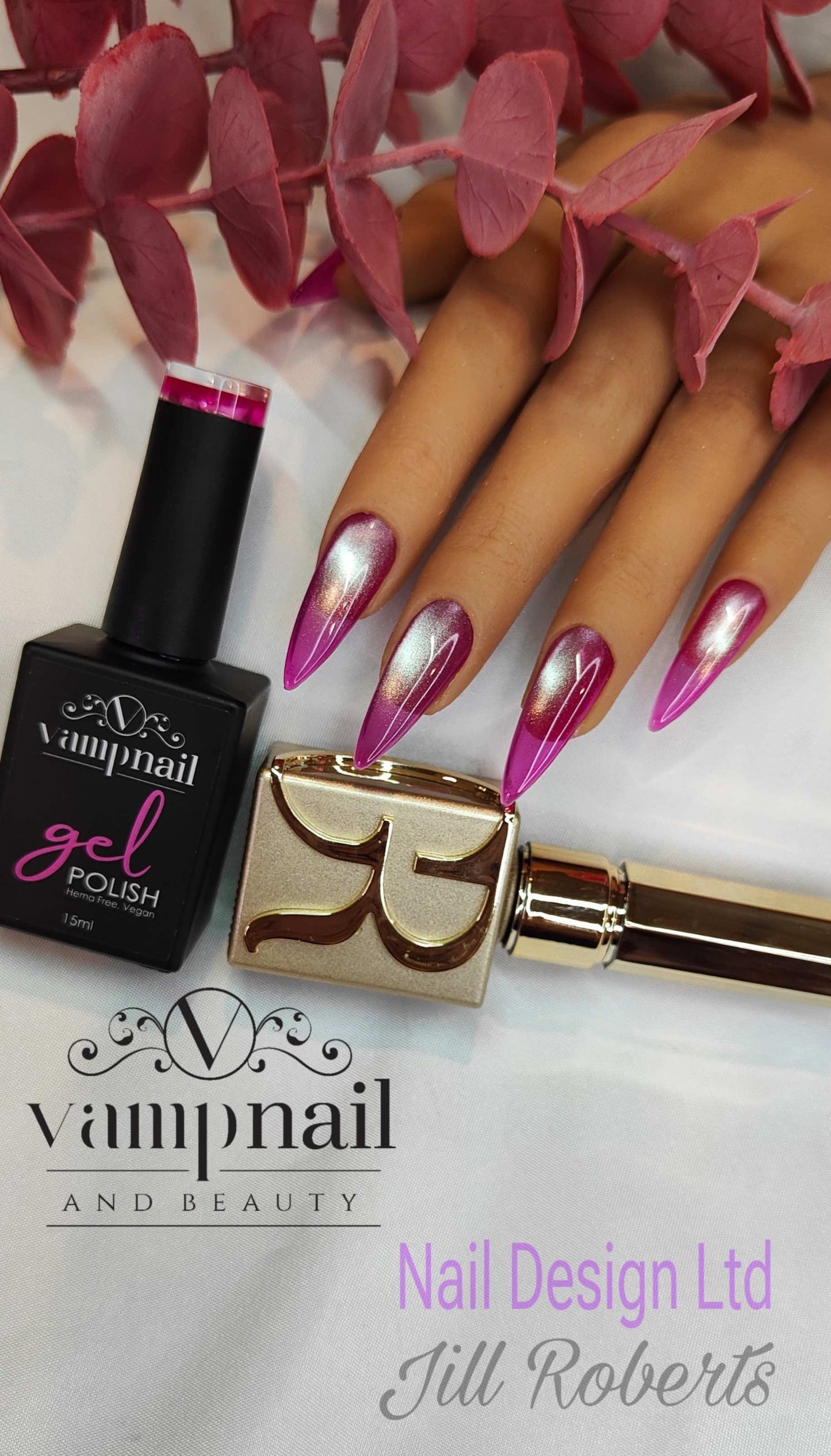 Vamp Gel Jelly Collection 6pk