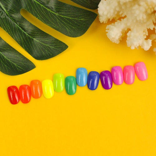 Kenzico Vivid Fit PPR102