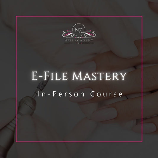 E-File Mastery Course - TRAINING ONLY