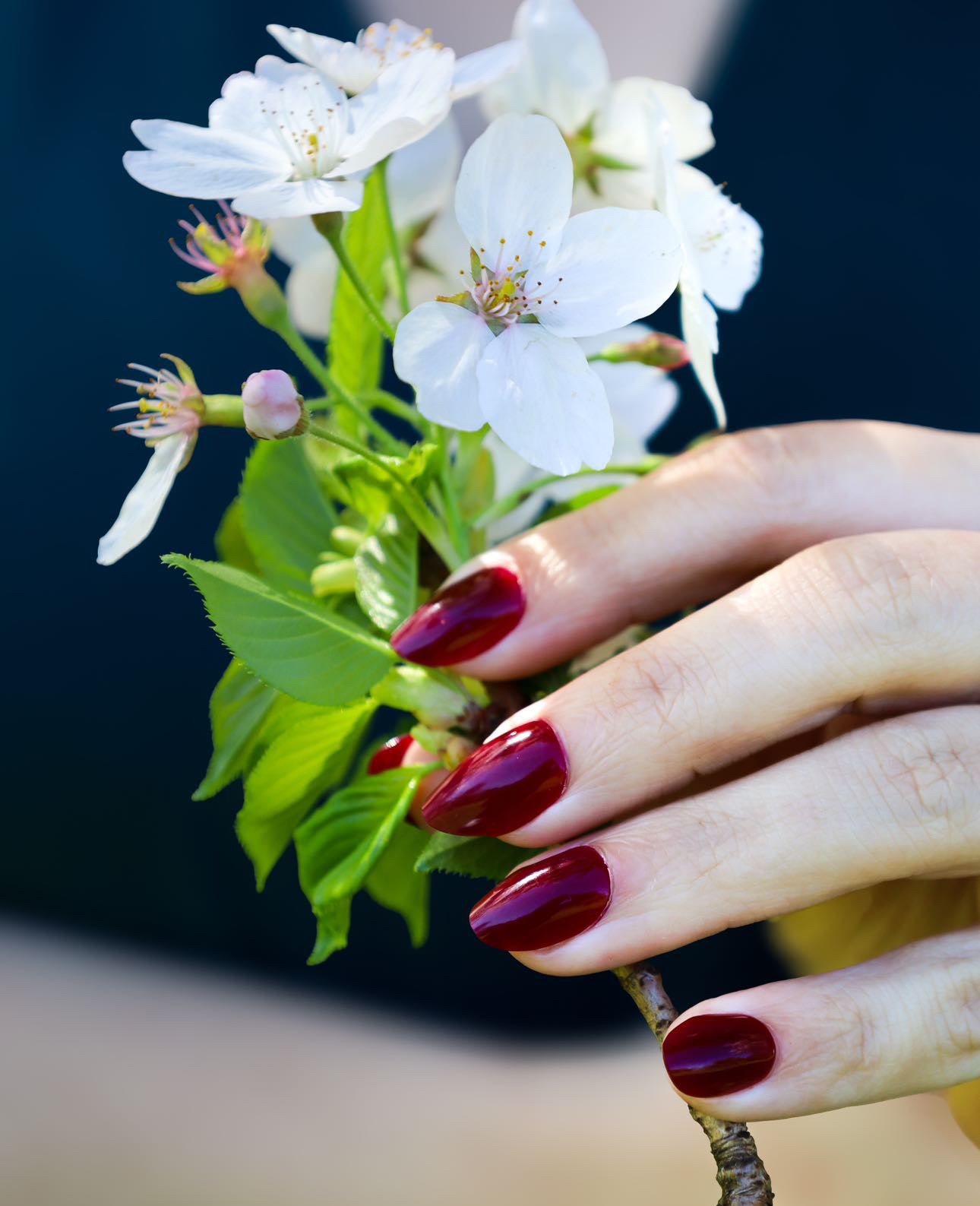 Merlot - Press on Gel Nails